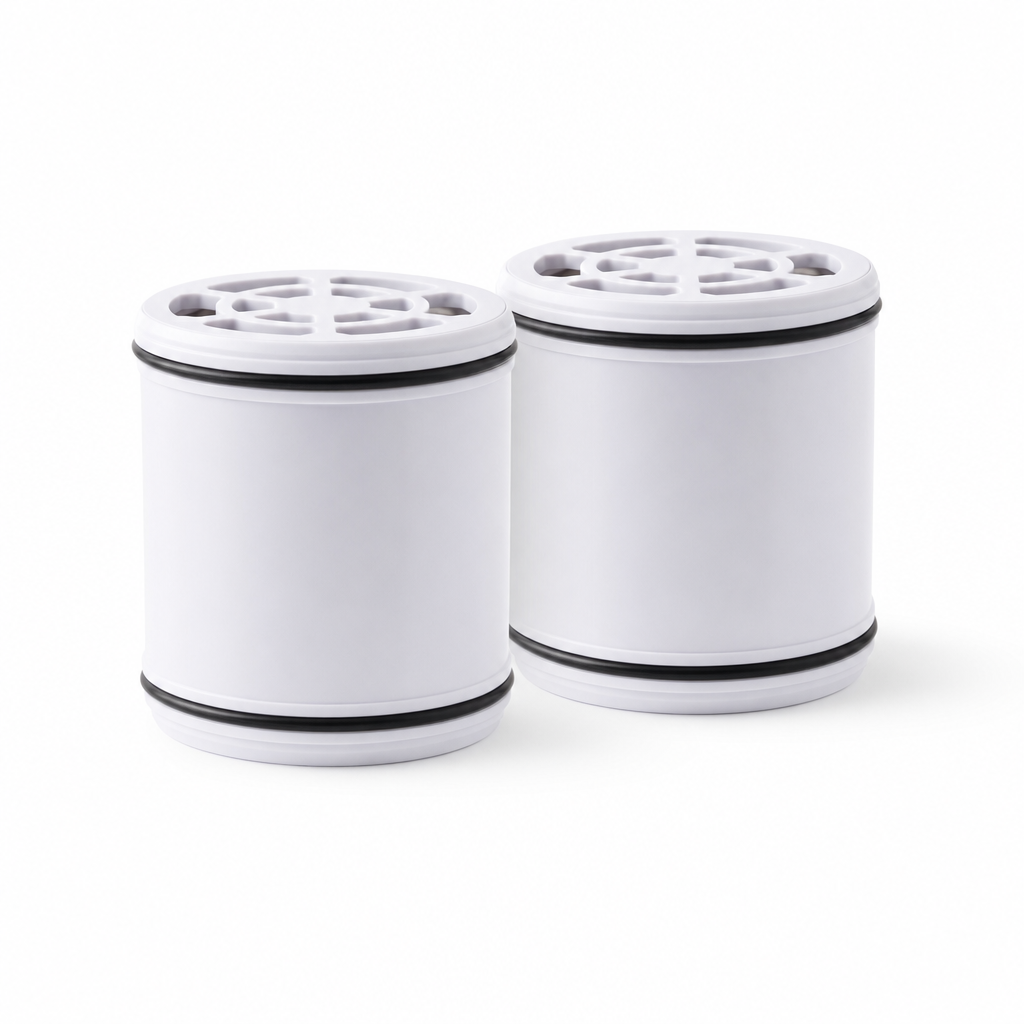 Showerhead Replacement Cartridge — sh-2pk